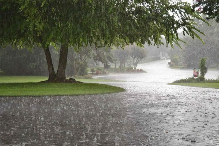 Heavy rain forecast for coastal Andhra Pradesh