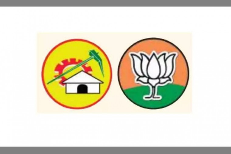 NDA candidates for bypolls to 3 RS seats in Andhra Pradesh file nomination