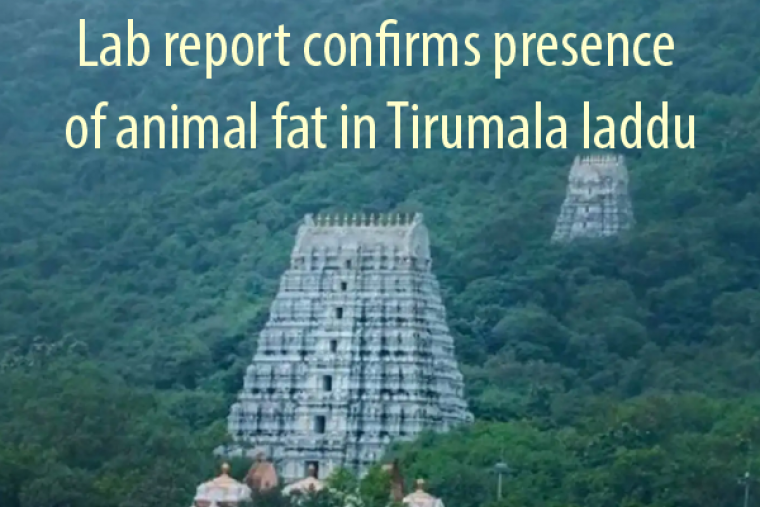 Controversy Surrounds Tirupati Laddu Preparation Amid Claims of Animal Fats