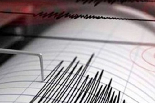 Vizag, Alluri districts of Andhra jolted by tremors