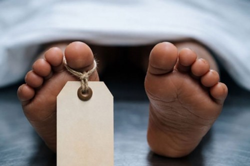 Andhra doctor, wife die in suicide pact after killing their mentally challenged toddler