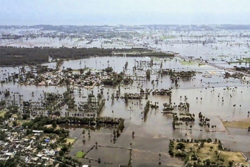 Cyclone devastates 2.14 lakh acres of crops, damages 2,294 km of roads in Andhra Pradesh