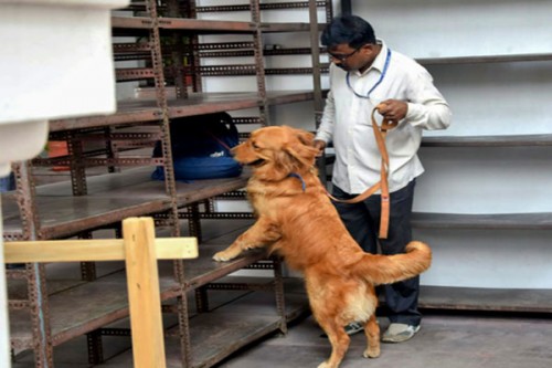 Bomb threat at Coimbatore Collectorate triggers high alert; security ramped up