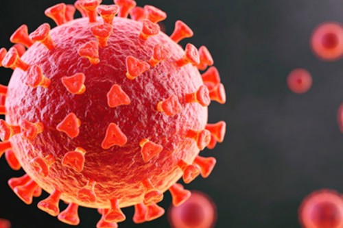 Study shows how Covid virus shields itself during replication