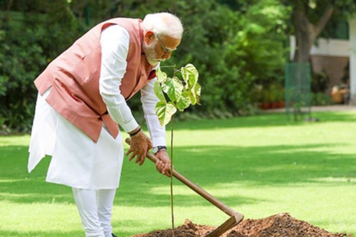 PM Modi launches 'Aravali Green Wall' project by planting sapling under Ek Ped Maa Ke Naam initiative