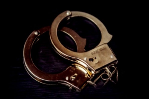 Bihar Police arrest two for illegal liquor party in Muzaffarpur; rescue three women