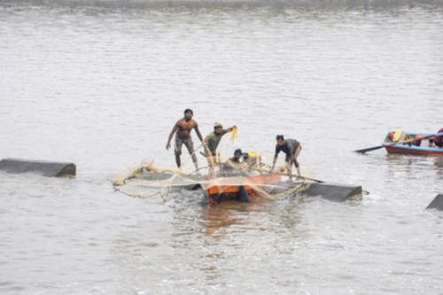 India's fisheries sector draws Rs 39,272 crore investment since 2015, seafood exports double