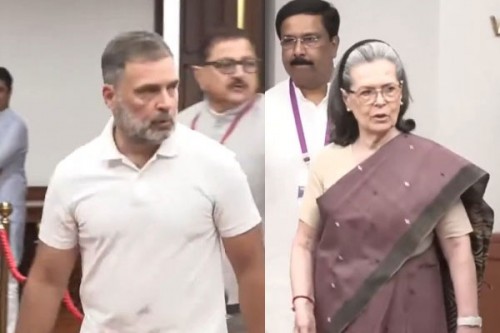 Sonia, Rahul Gandhi cast their votes for VP election