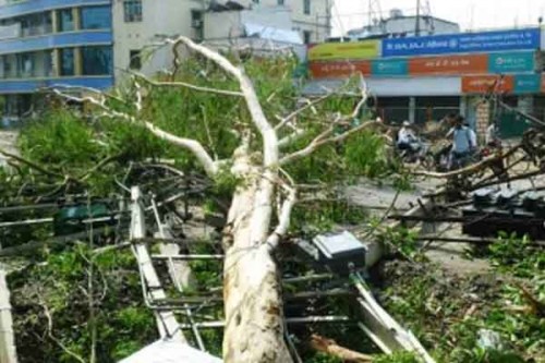 Sudden weather shift brings relief from heat, storm havoc leaves 13 dead in Bihar