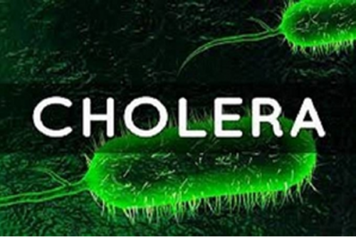 10-year-old tests positive for cholera in Kerala's orphanage