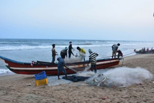 14 Indian fishermen from TN arrested by Sri Lankan Navy