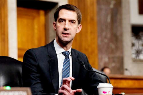 US Senators seek probe into Chinese surrogacy centres