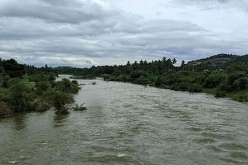 Tamil Nadu government blames Karnataka for Thenpennai River pollution