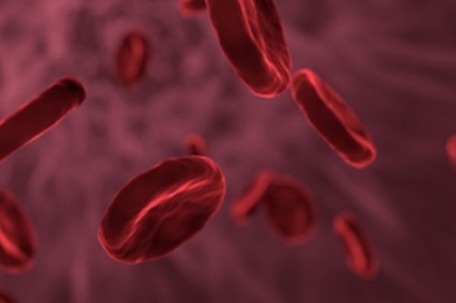 Indian scientists develop 1st human gene therapy for Haemophilia A