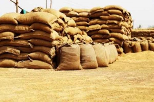MP govt seeks higher wheat procurement target, proposal sent to Centre