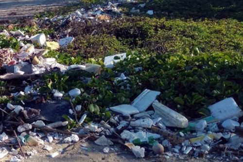 After plastic found in dead elephant's belly, TN forest division flags open waste dumping