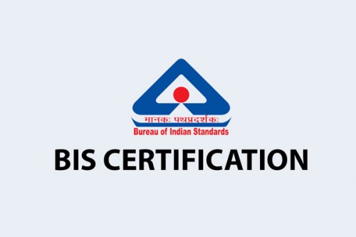 BIS offers internships for 500 students
