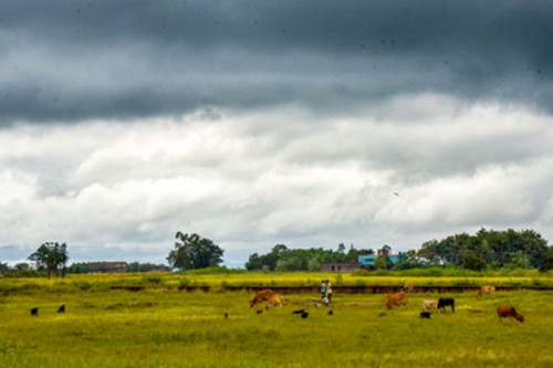 Met Office predicts rain across West Bengal till Monday
