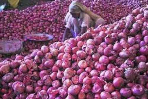 Nafed to procure kharif onion in Gujarat to prevent falling prices
