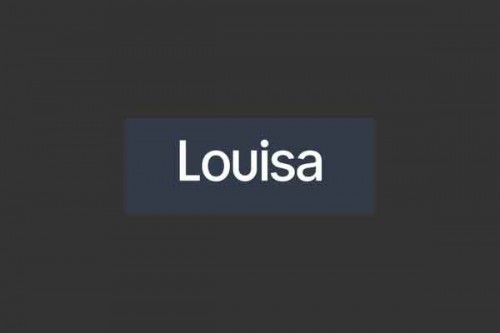 Louisa AI secures $5 mn funding to enhance its tech