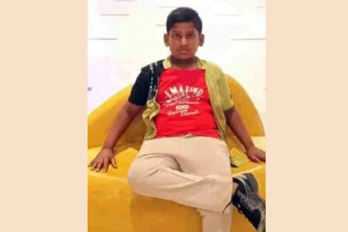 11-year-old boy succumbs to dengue fever in Bengaluru; septuagenarian dies of Zika virus