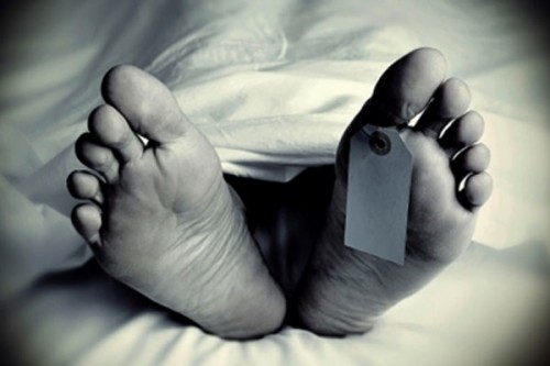 Patient jumps from hospital building, dies during treatment in MP; probe underway