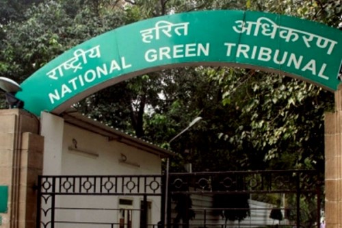 NGT transfers case on alleged felling of 90 trees in Rajasthan's Dholpur to Bhopal Bench
