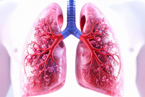 New blood test can detect, monitor lung cancer in real time