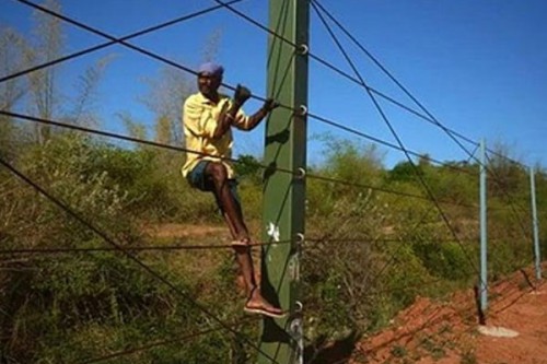 Steel wire fencing work begins in TN's Coimbatore to curb elephant intrusion