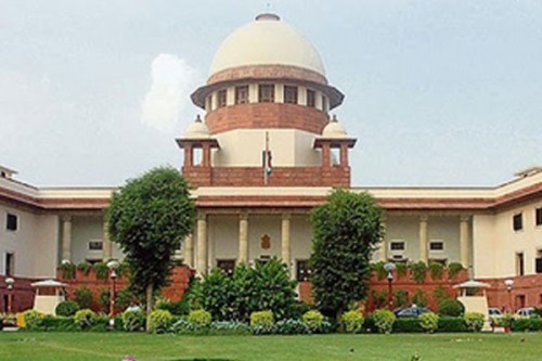 'Will look into', CJI BR Gavai on relocation of stray dogs in Delhi-NCR