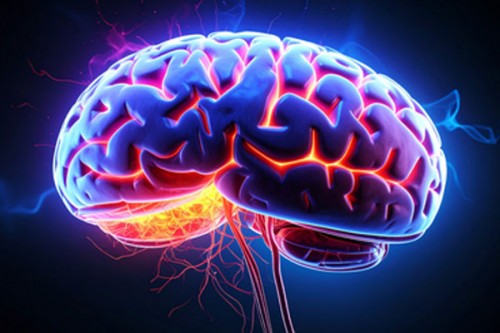 56-year-old Kerala woman dies of brain-eating amoebic infection; toll rises to 5 in a month