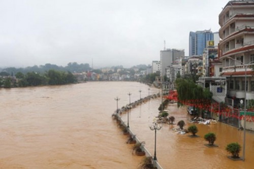 Typhoon Matmo leaves 15 dead in Vietnam