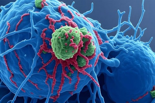 Indian scientists find missing link in body's cells to boost therapies for Alzheimer's, cancer