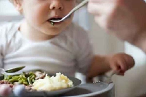 1 in 8 parents require kids to eat everything on their plate: Study