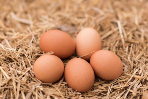 Eggs safe for consumption; cancer risk claims misleading, not scientific, says FSSAI