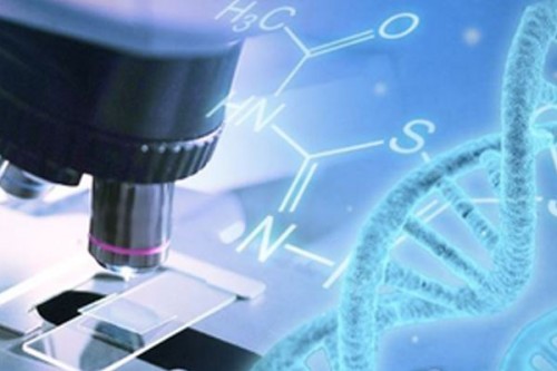 DPIIT proposes amendments to align India's Designs Act with global best practices