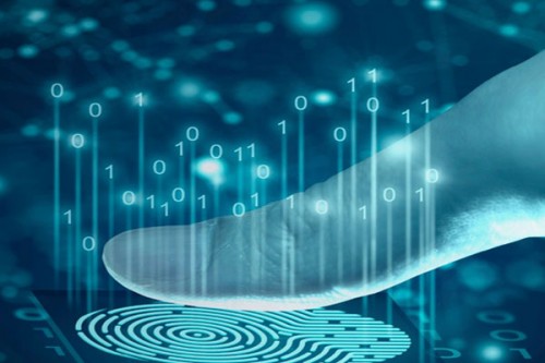 Mizoram begins collecting biometric data of Myanmar, Bangladeshi refugees