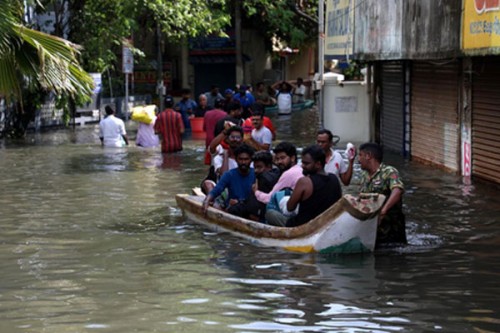 Tamil Nadu to procure fibre reinforced plastic coracles, boats for urban flood response