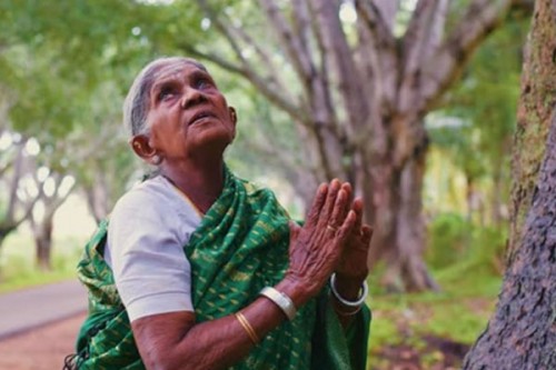 Padma Shri environmentalist 'Saalumarada' Thimmakka passes away at 114
