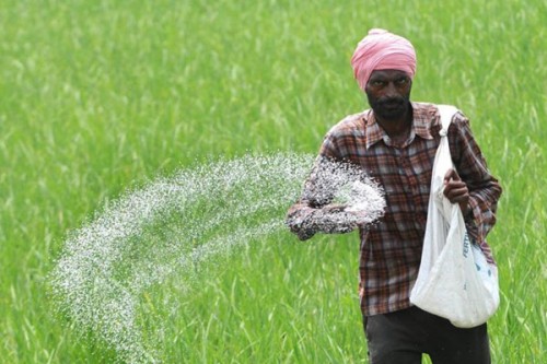 Govt assures steady fertiliser supplies through import diversification, capacity expansion
