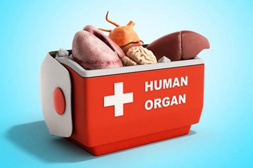 Tamil Nadu woman alleges organ removal, probe ordered