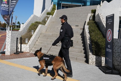 South Korea: World leaders, delegates begin arriving in Gyeongju ahead of APEC summit