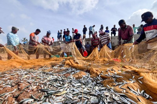 India-UK trade deal to increase seafood exports: MPEDA