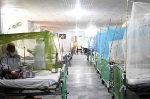 Taunsa hospital investigation exposes shocking flaws in Pakistan's healthcare system