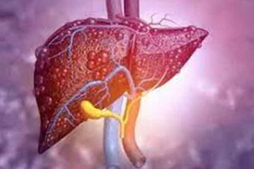 No scientific evidence to show liver detox is safe and effective: Experts
