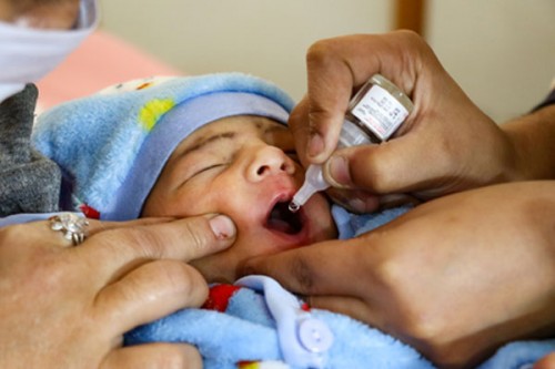 South-East Asia marks 15 years of polio-free: WHO