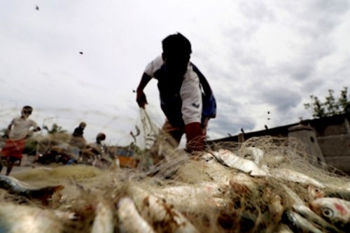 GST 2.0 comes as booster shot for Andhra's fisheries, pharma, auto & dairy sectors