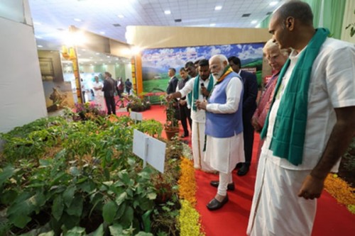 'Will continue to make agriculture productive, sustainable': PM Modi on India's push for natural farming