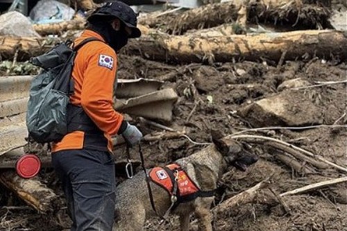 South Korea: Death toll rises to 23 after heavy rains, landslides
