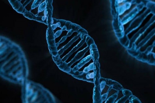 Tamil Nadu to open genetic disorder centres in Coimbatore, Madurai